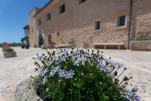 **** Hotel Finca Gomera By Itinerem - Adults Only Španělsko